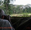 082 Moupia 7 Photo Elephants depuis Observatoire par JLA EP14IMG_EP0888bwtmk.jpg