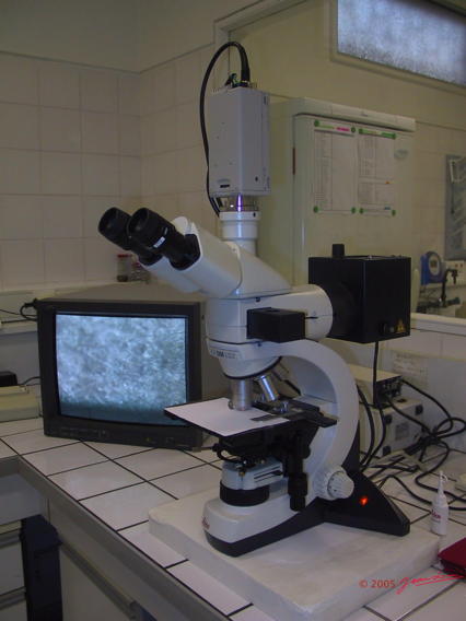 Microscope   Videowtmk