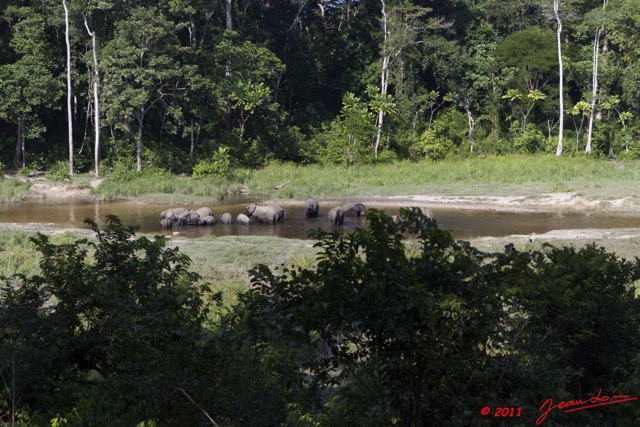 082 MOUPIA 6 Elephants au Bai 1 11E5K2IMG_69286wtmk.jpg