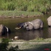 086 MOUPIA 6 Elephants au Bai 1 11E5K2IMG_69333wtmk.jpg
