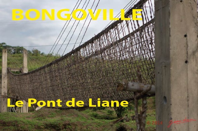 002 Titre Photos Bongoville Pont de Liane-01.jpg