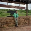 078 Kenya Parc TSAVO et JLA 80s 100001a_DxOwtmk.jpg
