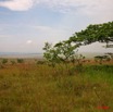 005 KABAGA Savane et Arbre 8EIMG_20173WTMK.JPG