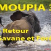 075 Titre Photos Moupia 3 Retour Savane et Foret.jpg