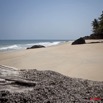 031 GOMBE Tronc sur la Plage 10E5K2IMG_60887wtmk.jpg