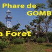 045 Titre Photos Gombe la Foret.jpg