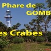 061 Titre Photos Gombe les Crabes.jpg