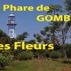 082 Titre Photos Gombe les Fleurs.jpg