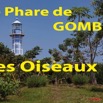 088 Titre Photos Gombe les Oiseaux.jpg