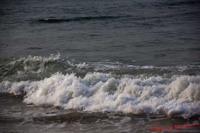 068 WINGOMBE Vague Mourante 9E5K2IMG_56703wtmk.jpg