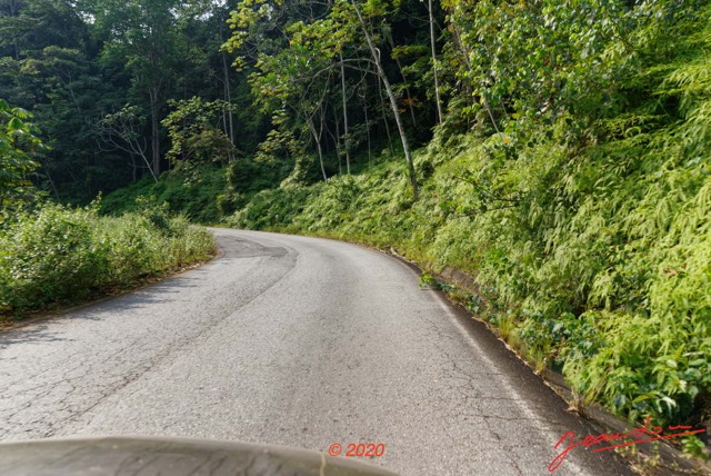 031 Route Ndjole-Bifoun 04 Vegetation 20E5M3IMG_200122154486_DxOwtmk 150k.jpg