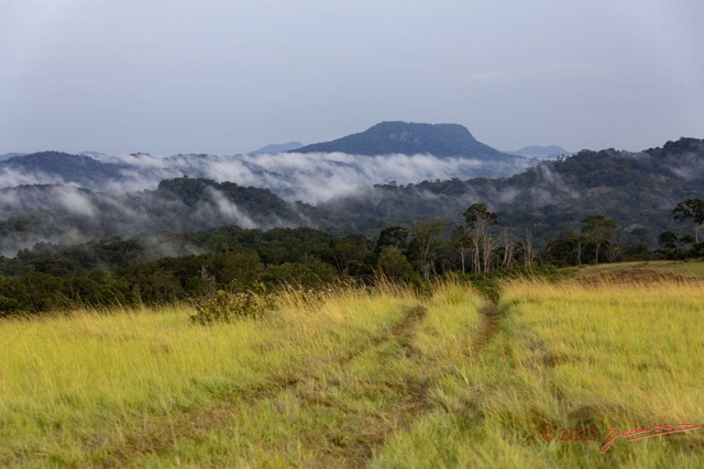035 Campement vers Booue Vue sur la Savane le Matin 12E5K2IMG_75957wtmk.jpg