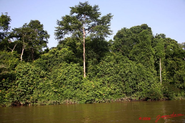 024 Ogooue Berge avec Foret 8EIMG_16448WTMK.JPG