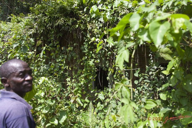 031 SAINT-MICHEL la Mission Vue sur Presbytere Noye de Plantes Grimpantes 12E5K2IMG_74714wtmk.jpg