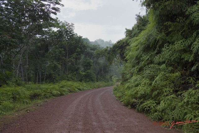043 MOUYANAMA Piste apres Orage dans le Chaillu 12E5K2IMG_74270wtmk.jpg