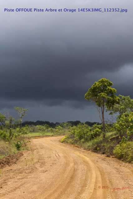 023 Piste OFFOUE Piste Arbre et Orage 14E5K3IMG_112352wtmk.JPG