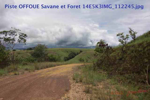046 Piste OFFOUE Savane et Foret 14E5K3IMG_112245wtmk.JPG