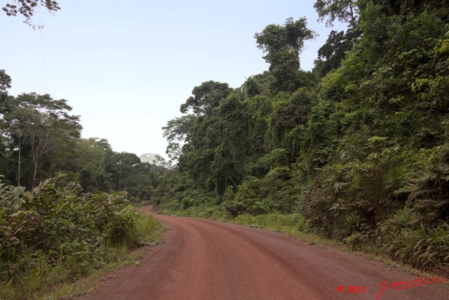 037 Route des Abeilles 2 Piste et Foret 11E5K2IMG_68512wtmk.jpg