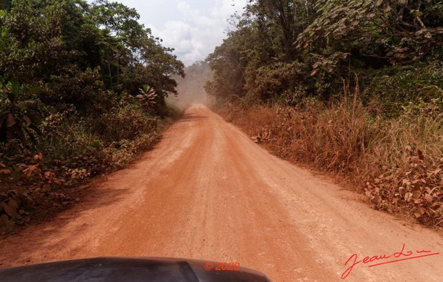 187 Piste des Abeilles 04 Mikouyi - La Lope Vegetation et Poussiere 20E5M3IMG_200121153802_DxOwtmk 150k.jpg