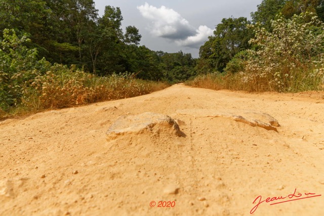 213 Piste des Abeilles 04 Mikouyi - La Lope Caillou Emergeant de la Laterite 20E5M3IMG_200121153878_DxOwtmk 150k.jpg