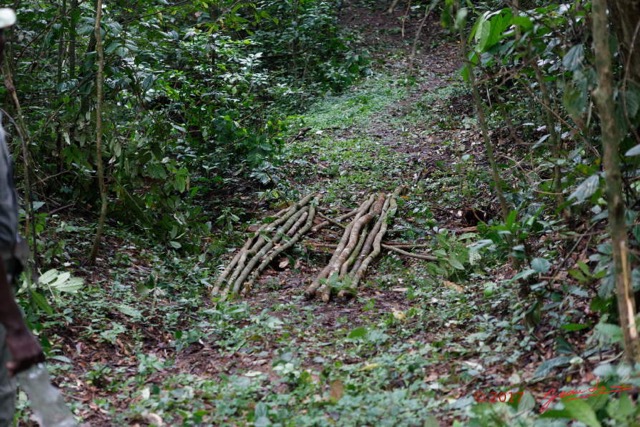 068 LOANGO 3 Inyoungou Sounga Marche en Foret Amenagement Pont C pour Quad Sette-Cama 16E5K3IMG_122271_DxOawtmk.jpg