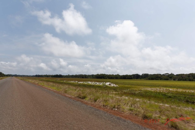 037 LOANGO 3 Trajet Retour Gamba-Tchibanga Route de Sortie 16E5K3IMG_122867_DxOawtmk.jpg