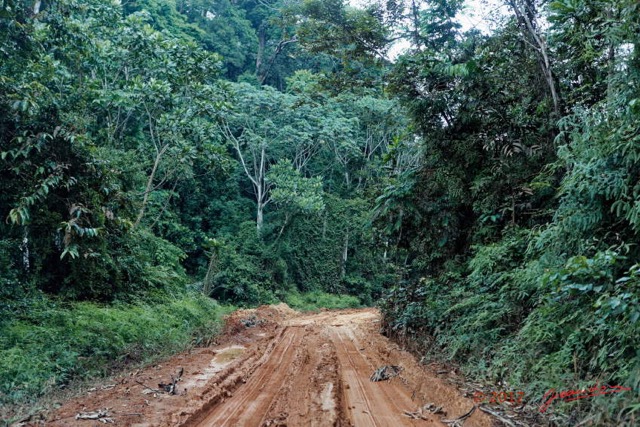 123 LOANGO 3 Trajet Retour Piste des Abeilles Bourbier 16E5K3IMG_123039_DxOawtmk.jpg