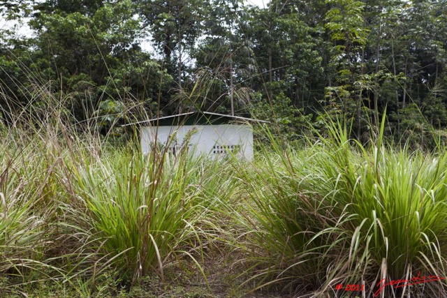 009 BELINGA Ancien Batiment 11E5K2IMG_70776wtmk.jpg