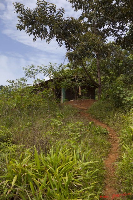 012 BELINGA Ancien Baraquement Bresilien 11E5K2IMG_70788wtmk.jpg