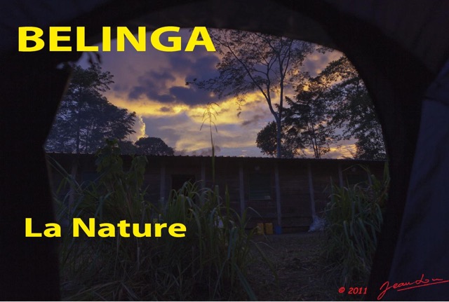 018 Titre Photos Belinga Nature.jpg