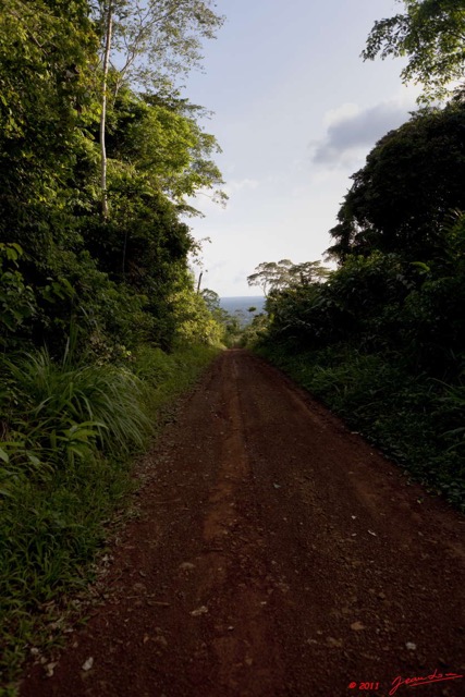 061 BELINGA Piste et Foret dans les Monts 11E5K2IMG_70892wtmk.jpg