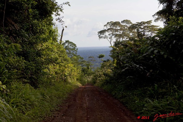 062 BELINGA Piste et Foret dans les Monts 11E5K2IMG_70894wtmk.jpg