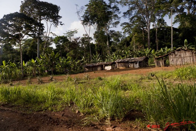 066 BELINGA Village dans les Monts 11E5K2IMG_70906wtmk.jpg