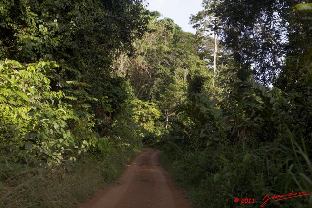 068 BELINGA Piste et Foret dans les Monts 11E5K2IMG_70917wtmk.jpg