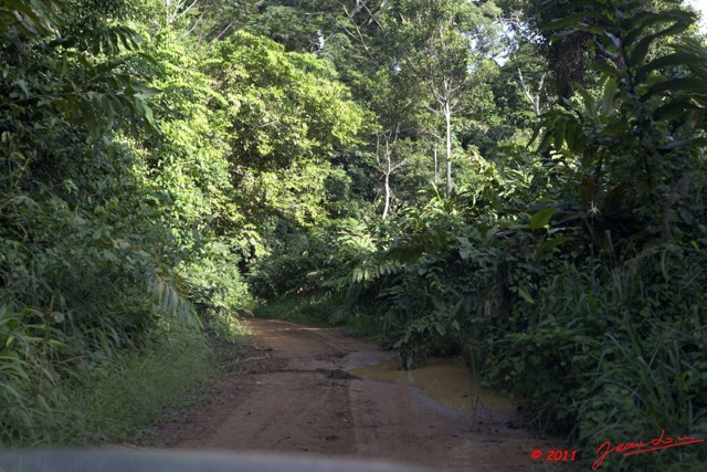 069 BELINGA Piste et Foret dans les Monts 11E5K2IMG_70918wtmk.jpg