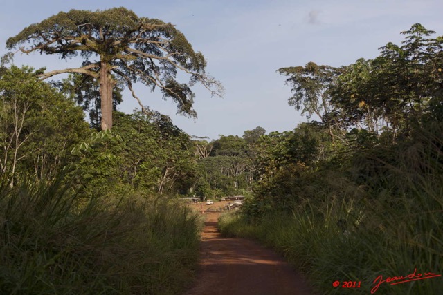 071 BELINGA Village Mbondo Entree 11E5K2IMG_70923wtmk.jpg