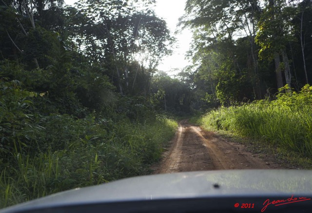 076 BELINGA Piste et Foret 11E5K2IMG_70945wtmk.jpg