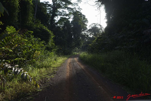 077 BELINGA Piste et Foret 11E5K2IMG_70948wtmk.jpg