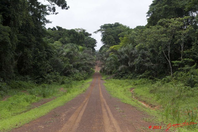 101 BELINGA Piste Pont et Bambous vers Makokou 11E5K2IMG_71032wtmk.jpg