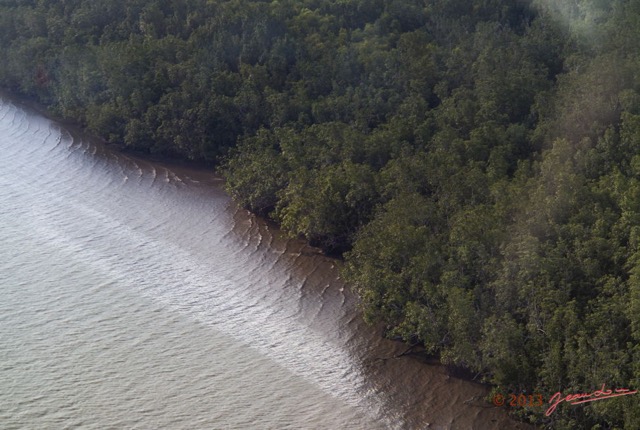 027 ULM Donguila Estuaire du Komo et Foret 13G1XIMG_88487wtmk.jpg