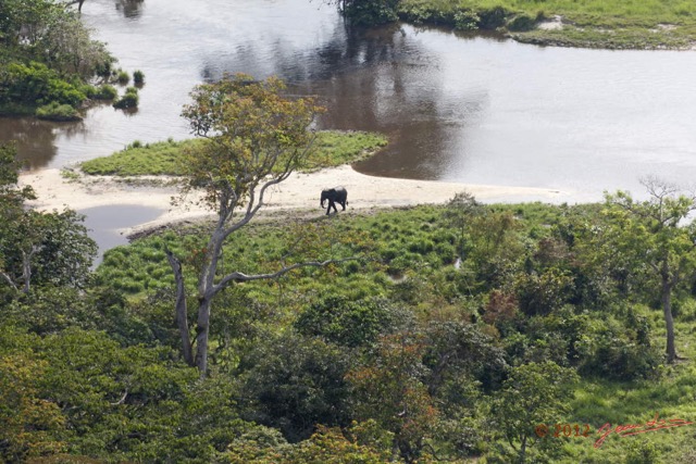 112 Haut-Ogooue Vu du Ciel 4 Bai Mpughu Bandjogo Elephant 12E5K2IMG_73799wtmk.jpg