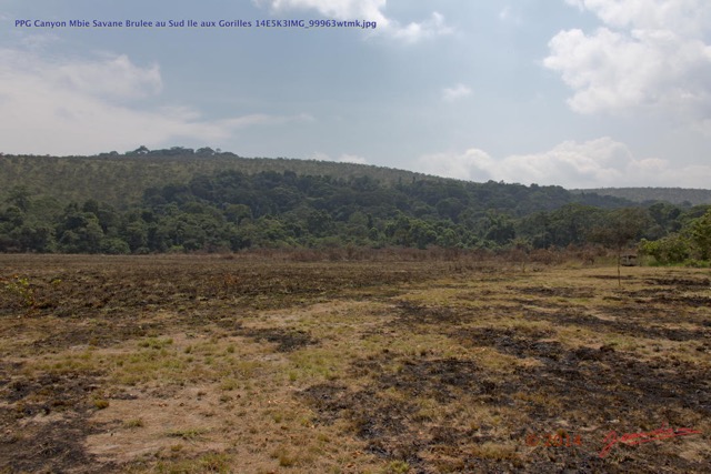 061 PPG Canyon Mbie Savane Brulee au Sud Ile aux Gorilles 14E5K3IMG_99963wtmk.jpg