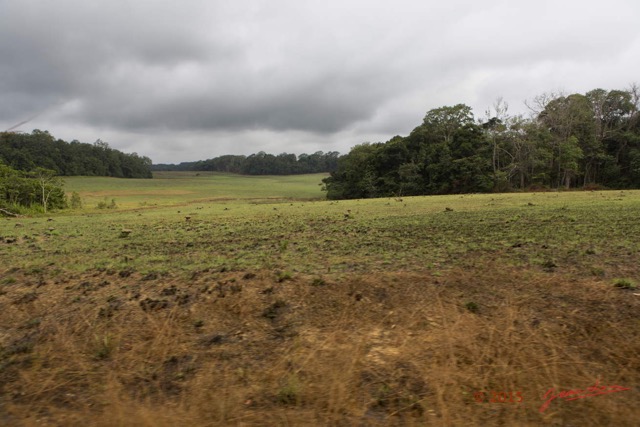 040 LOANGO 2 Iguela-Rabi Piste et Savane 15E5K3IMG_108032wtmk.jpg