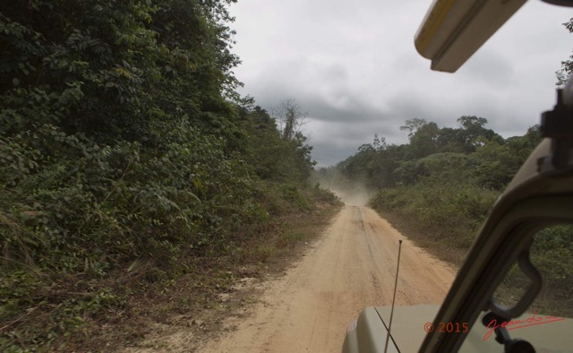 043 LOANGO 2 Iguela-Rabi Piste et Savane 15E5K3IMG_108038wtmk.jpg