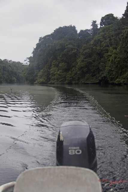 014 Riviere MPIVIE Eau et Algues Vertes 12E5K2IMG_78324wtmk.jpg