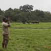 050 LOANGO Inyoungou Prairie Elephants et Philippe Observant les Buffles a Droite 12E5K2IMG_79043wtmk.jpg