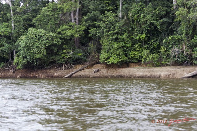 007 LOANGO Fleuve Ogooue Berge en Basses-Eaux 12E5K2IMG_76741wtmk.jpg