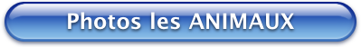Bouton Bleu Photos les ANIMAUX 399x52