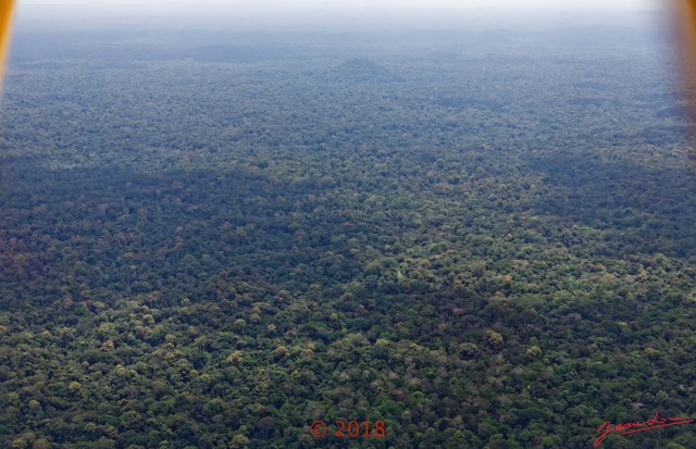 052 WONGA WONGUE 1 le Vol Survol de la Foret 18E5K3IMG_180304126990_DxOwtmk.jpg