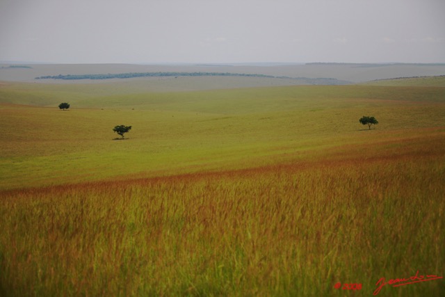 036 Plateaux Batekes 3 Savane et Arbres 8EIMG_17366WTMK.jpg